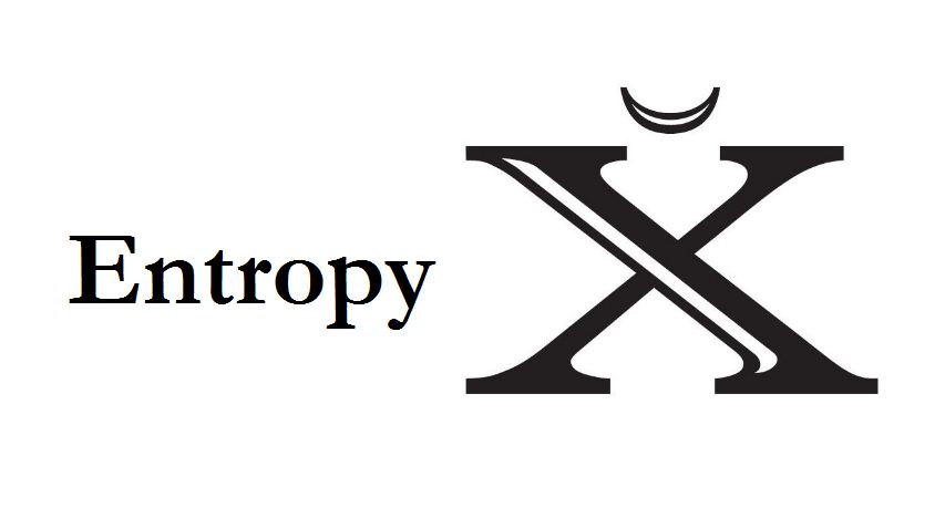 EntropyX